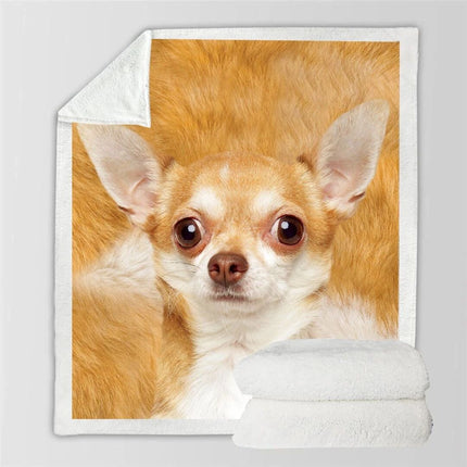 3d Double-sided Flannel Blanket Siesta Air Conditioning Blanket - Wnkrs