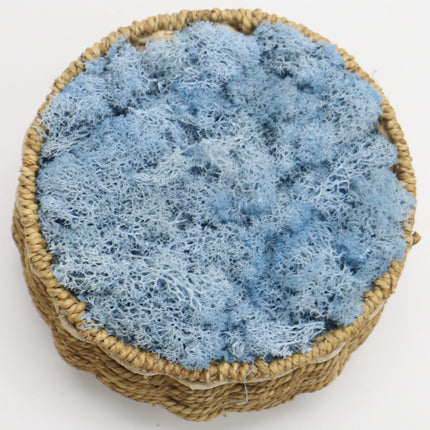 Artificial Eternal Life Moss - Wnkrs