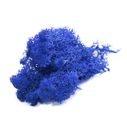 Artificial Garden Moss for Decor - Wnkrs