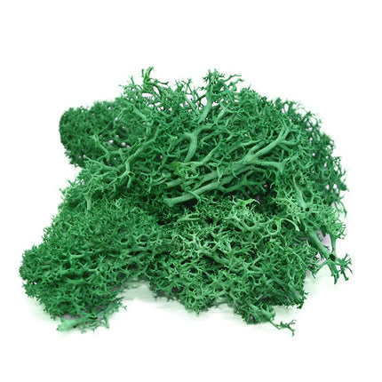 Artificial Garden Moss for Decor - Wnkrs