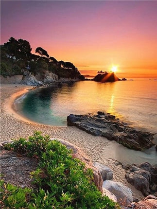 Canvas Painting By Numbers - Wnkrs