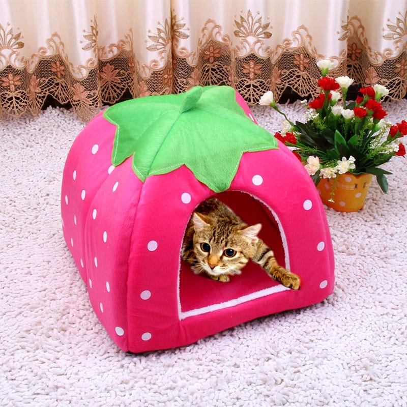 Strawberry House for Pets