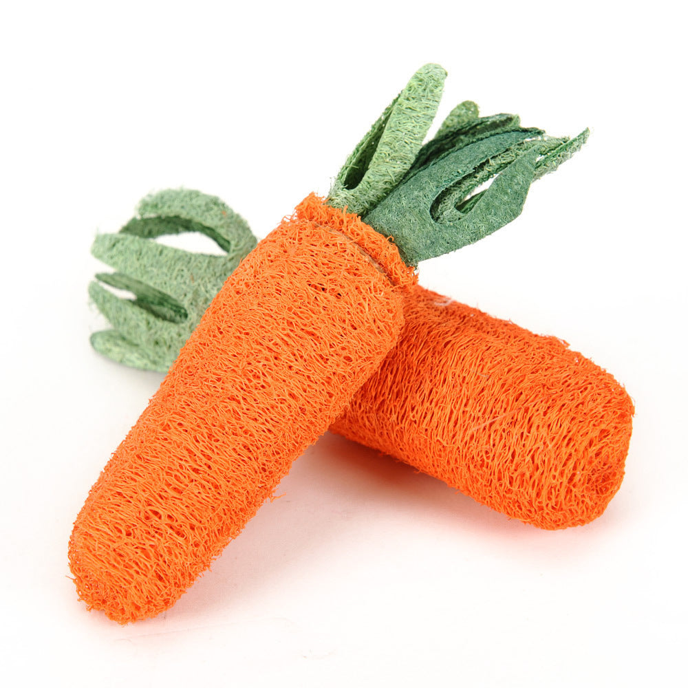 Chew Carrot Shaped Toy