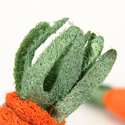 Chew Carrot Shaped Toy - wnkrs