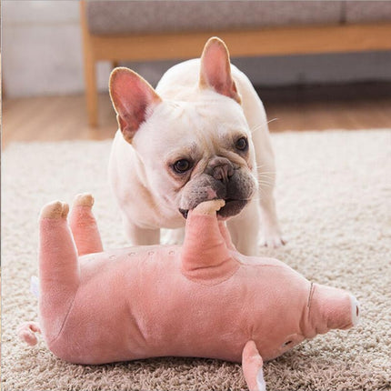 Warm and Soft Pig Shaped Toys for Dogs for Sleeping - wnkrs