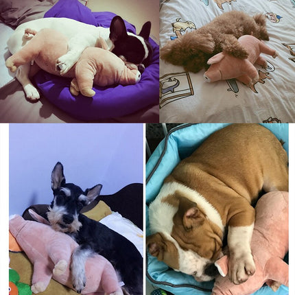 Warm and Soft Pig Shaped Toys for Dogs for Sleeping - wnkrs