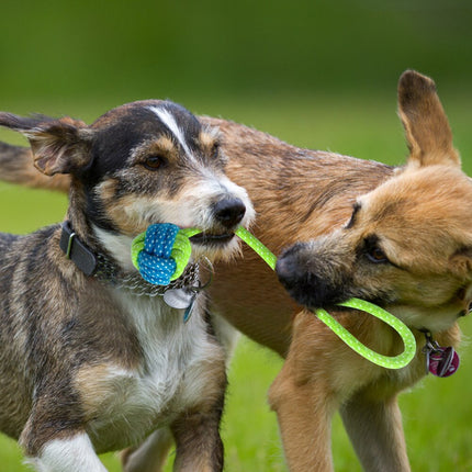 Cotton Rope Toys for Pets 7 pcs Set - wnkrs