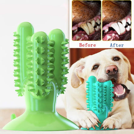 Chewing Toothbrush Toy for Dogs - wnkrs