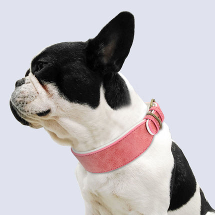 Soft Padded Wide Leather Dog Collar - wnkrs