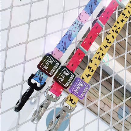 Medium Dog Walking Leash - wnkrs