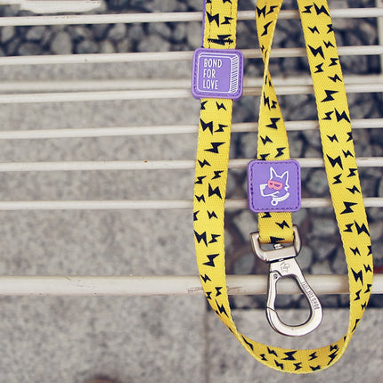 Medium Dog Walking Leash - wnkrs