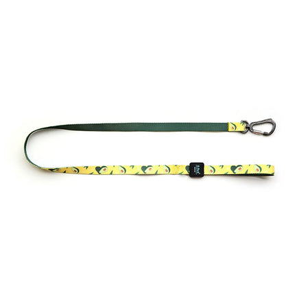 Medium Dog Walking Leash - wnkrs