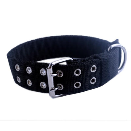 Cute Solid Army Green Canvas Dog's Collar - wnkrs