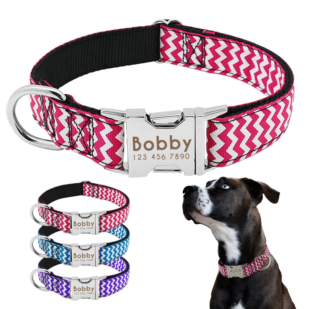 Dog's Zig Zag Pattern Collar