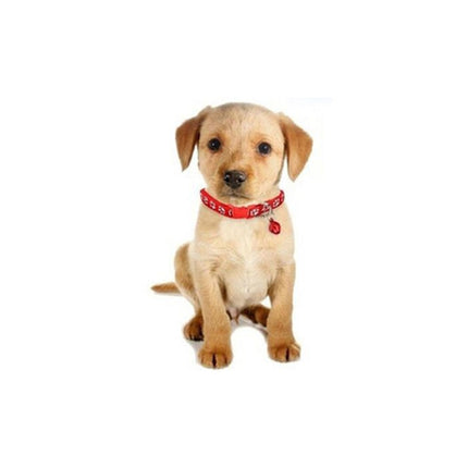 Adjustable Cute Walking Collar - wnkrs