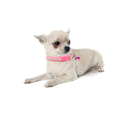 Adjustable Cute Walking Collar - wnkrs