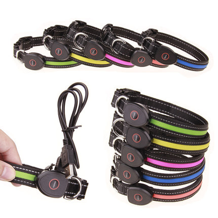 Cute Rechargeable LED Luminous Nylon Dog Collar - wnkrs
