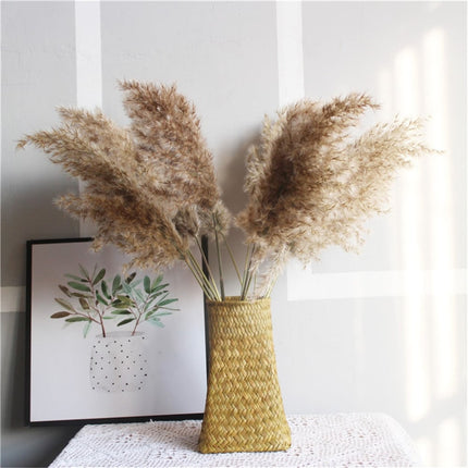 Set of Natural Dried Pampas Grass Bunches - wnkrs