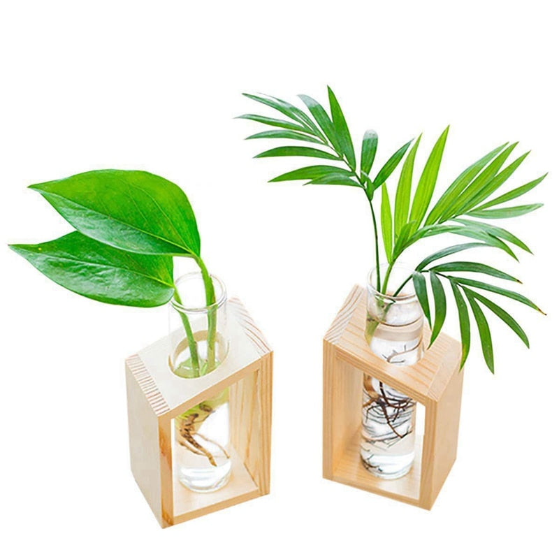 Test Tube in Wooden Stand Flower Pot