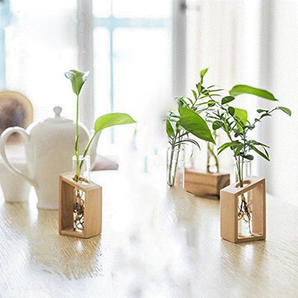 Test Tube in Wooden Stand Flower Pot - wnkrs
