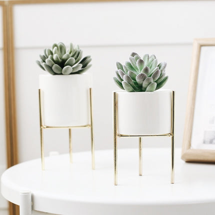 Nordic Style Ceramic Plants Vase - wnkrs