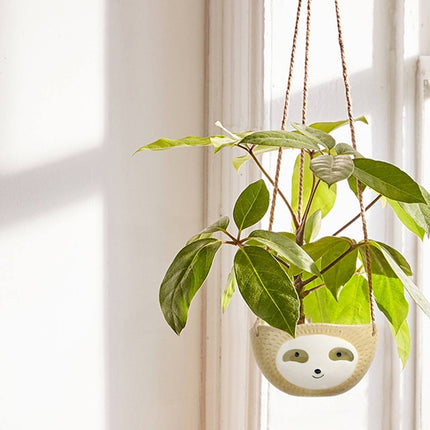 Cartoon Sloth Ceramic Wall Hanging Pot - wnkrs