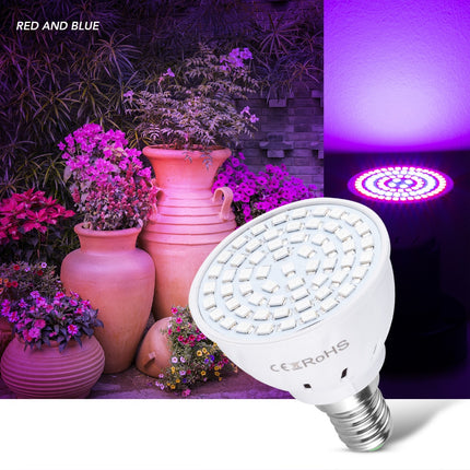 80 LEDs Hydroponic Lamp - wnkrs