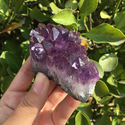 Natural Dream Amethyst Quartz Crystal - wnkrs