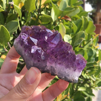 Natural Dream Amethyst Quartz Crystal - wnkrs