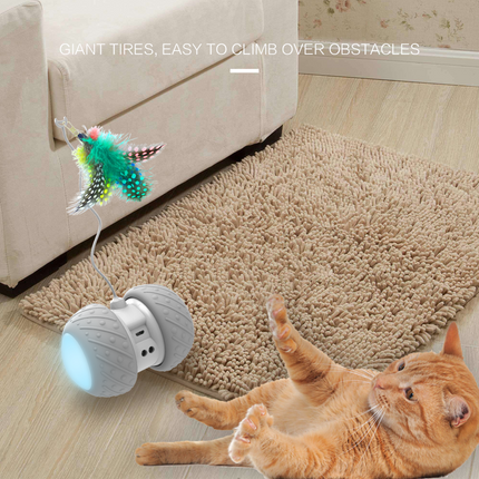 Feather Decorated Interactive Cat Toy - wnkrs