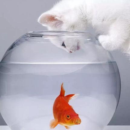 Water Robot Fish for Cat - wnkrs