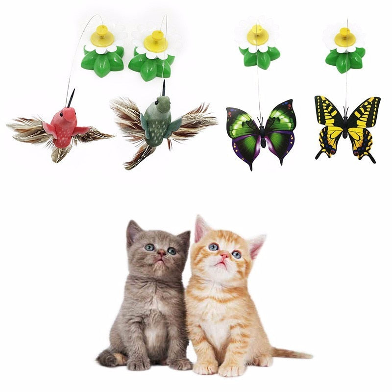 Colorful Electric Butterfly and Bird