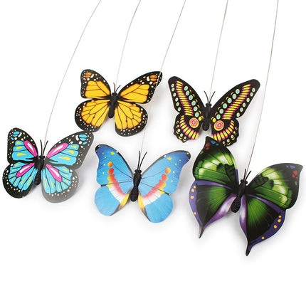 Colorful Electric  Butterfly and Bird - wnkrs