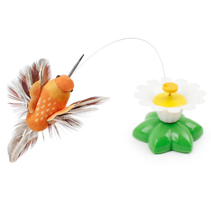 Colorful Electric  Butterfly and Bird - wnkrs