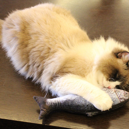 Cat Scratching Fish with Catnip - wnkrs
