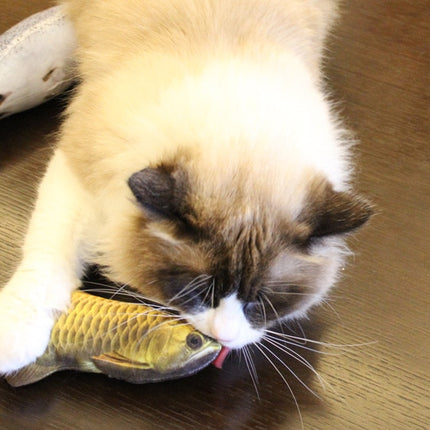 Cat Scratching Fish with Catnip - wnkrs