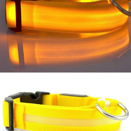 Dogs Nylon LED Collar - wnkrs