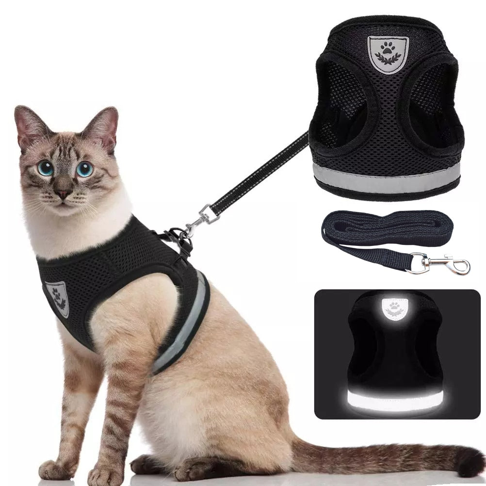 Reflective Breathable Harness