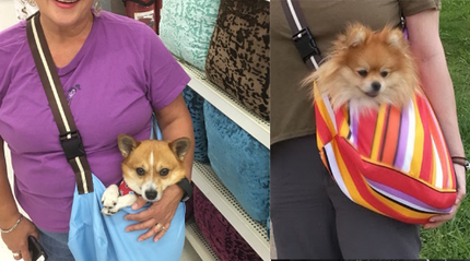 3 in 1 Pet Sling Carrier - wnkrs