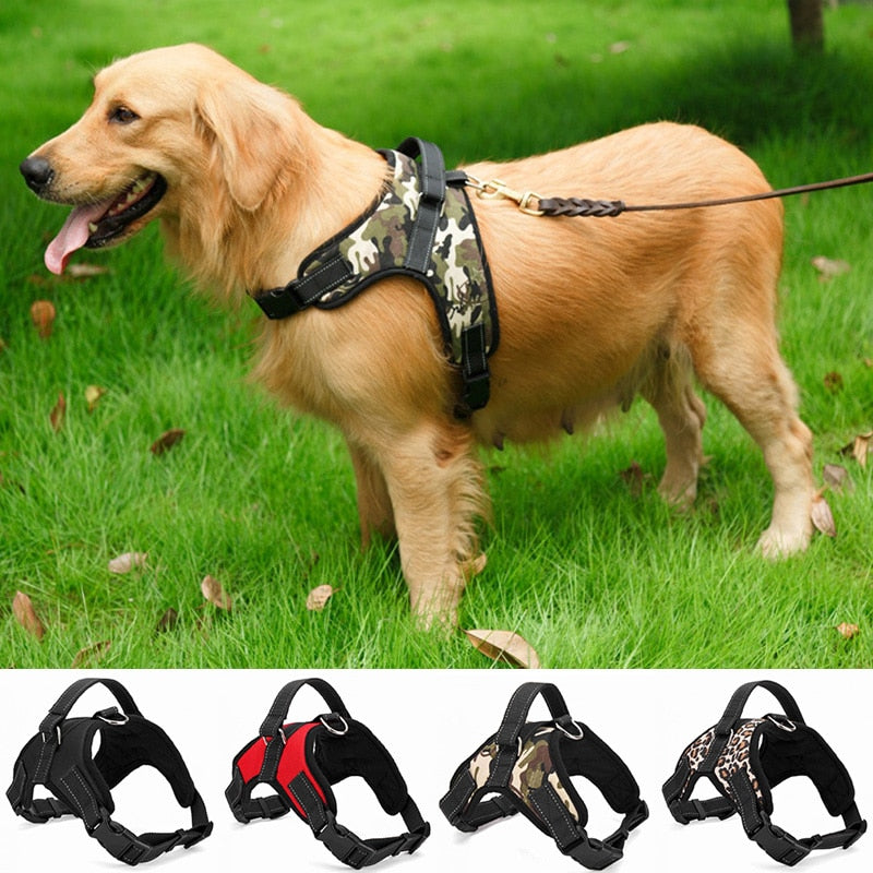 Dog's Casual Nylon Harness