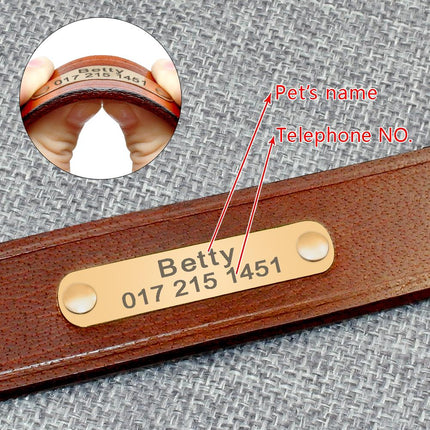 Elegant Genuine Leather Collar - wnkrs