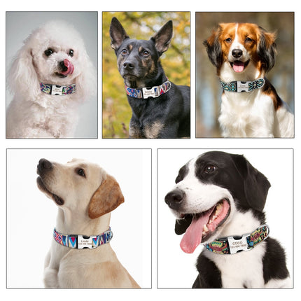 Personalized Nylon Tag Collar - wnkrs