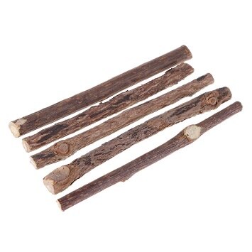 Catnip Teeth Brushing Sticks for Cat 15 / 20 Pcs Set - wnkrs