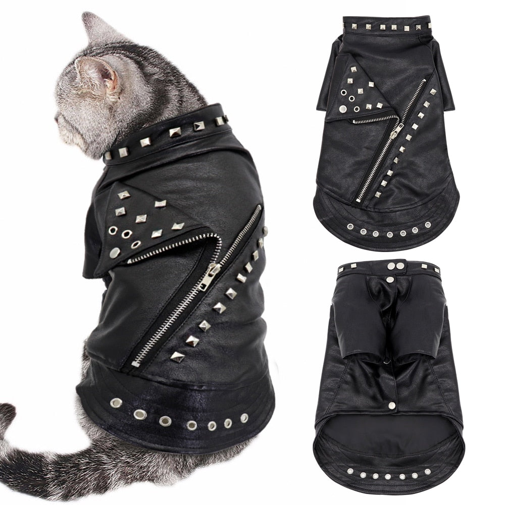 Black Leather Jacket for Cats