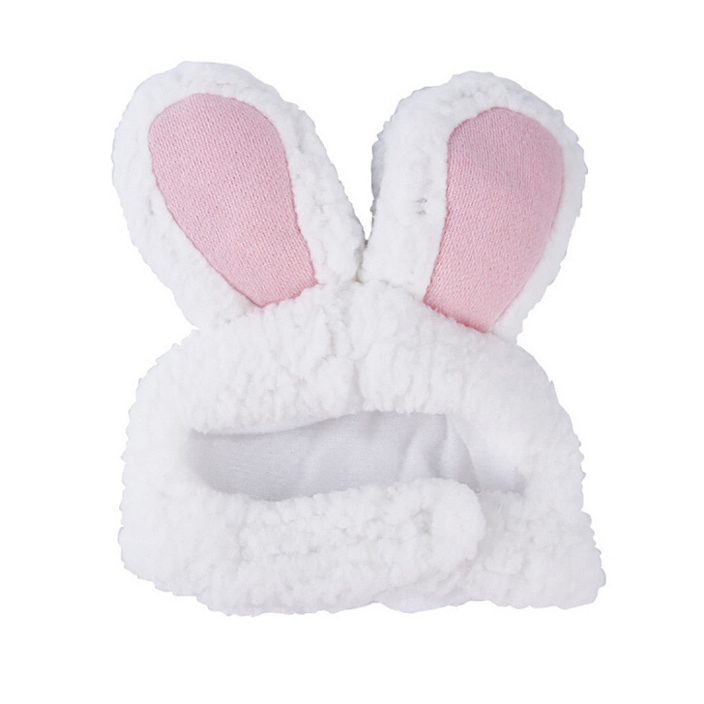 Rabbit Cat's Costume in White Color