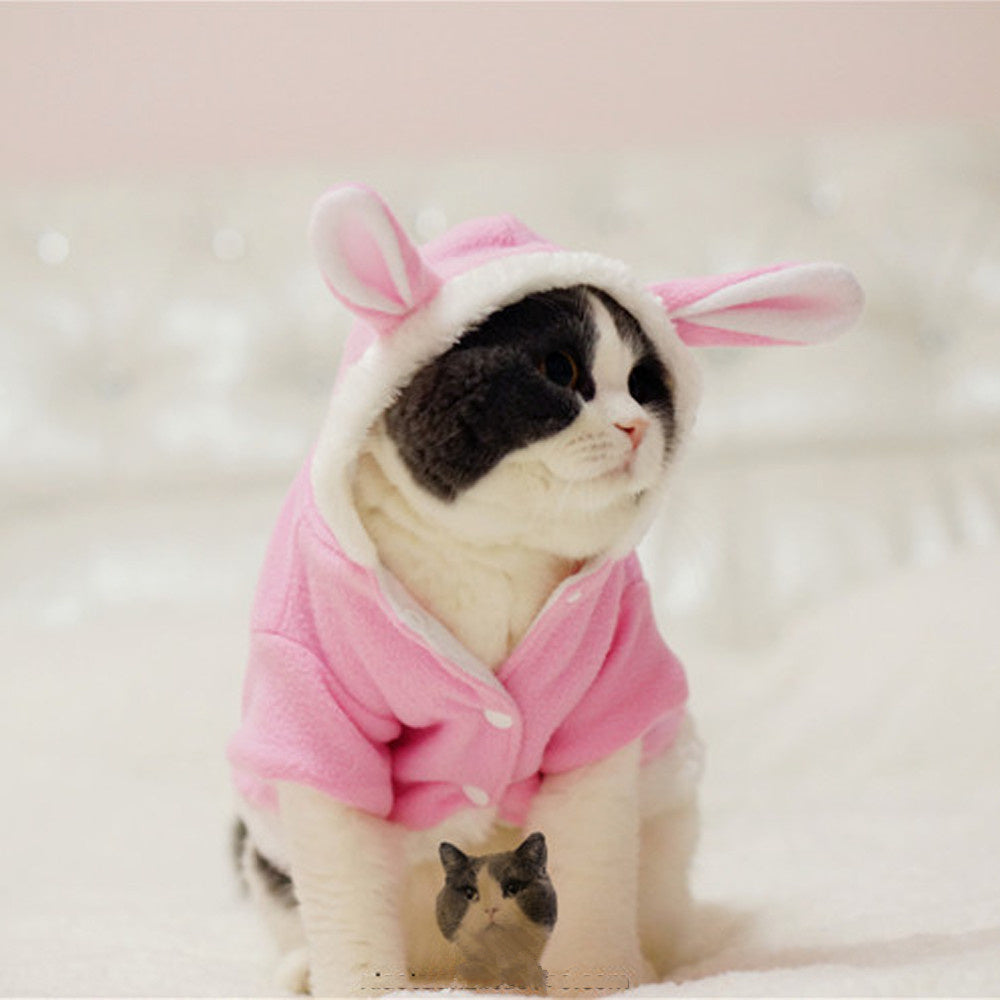 Warm Comfortable Cat Suit