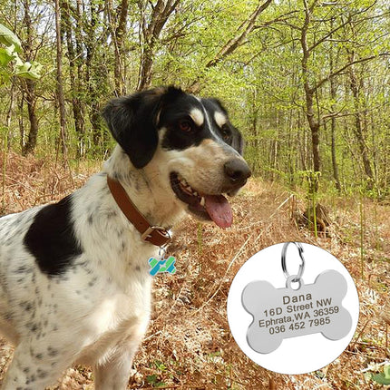 Dog's Striped Bone Shaped ID Tag - wnkrs