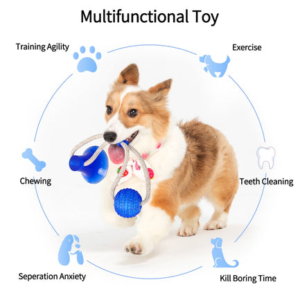 Multifunctional Cleaning Teeth Toy - wnkrs