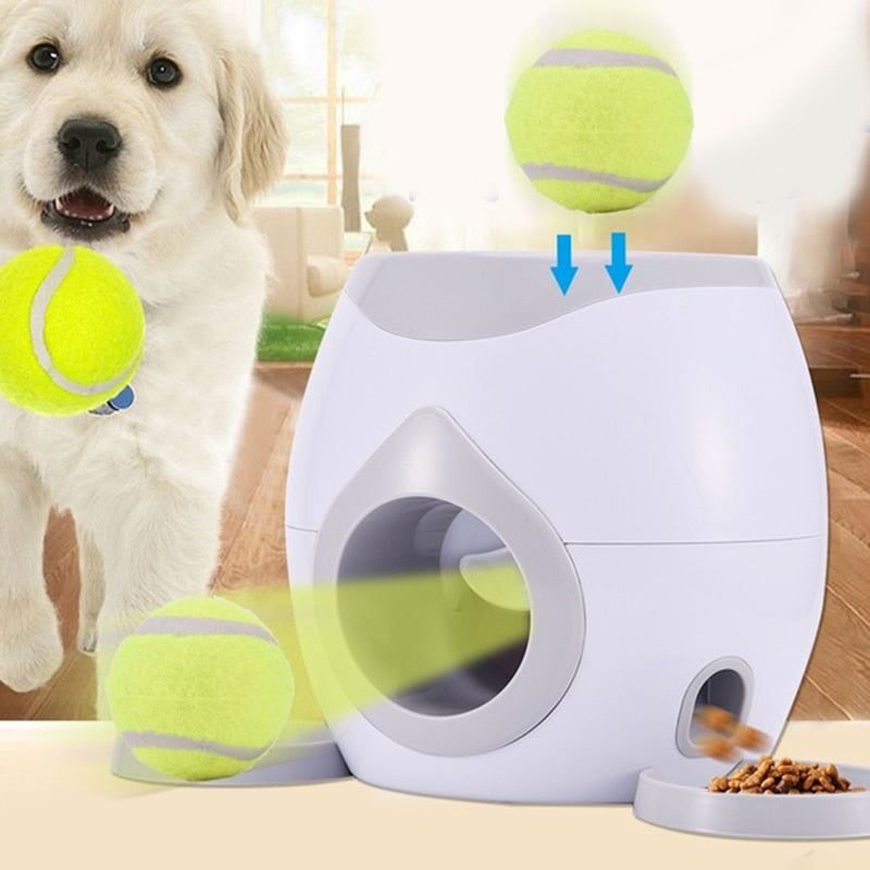 Dogs Tennis Ball's Reward Machine
