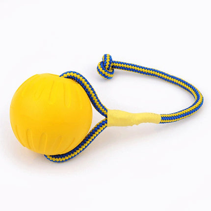 Solid Fetch Training Ball - wnkrs